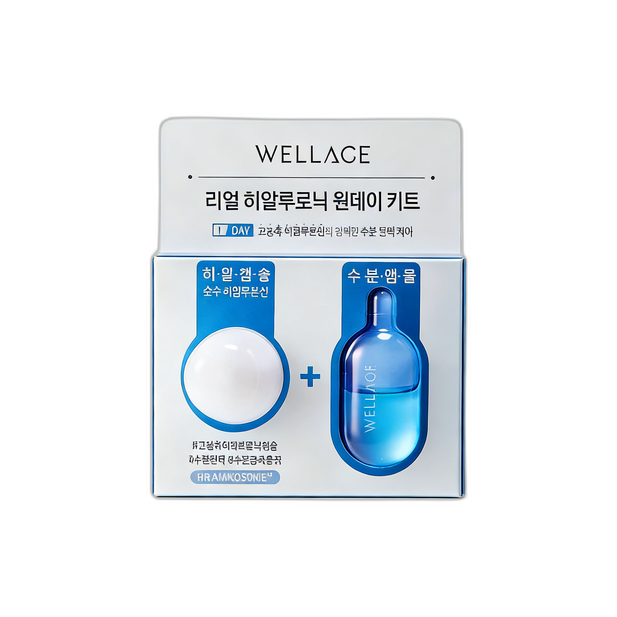 Wellage Wellage Real Hyaluronic One Day Kit 15mg+1ml product image